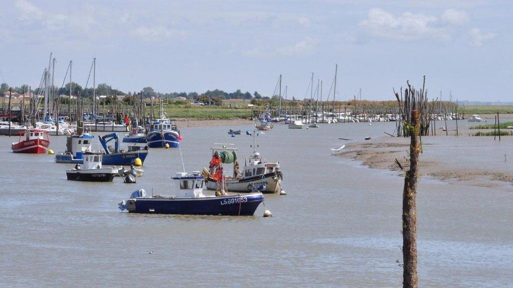 Maison Sud Vendee LʼAiguillon-sur-Mer エクステリア 写真